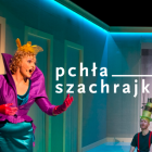 pchła szachrajka