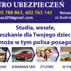 bodo widżet