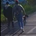 Fotka nr 2 z 3