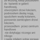 zdjęcie nr 104