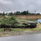 zdjęcie nr 9