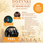 zdjęcie nr 11