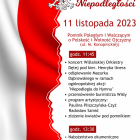 zdjęcie nr 9