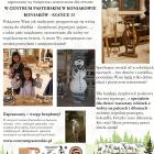 bbfan-plakat_welna
