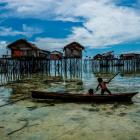 borneo