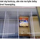 zdjęcie nr 59
