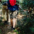 nordic walking