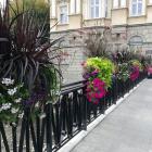 bielsko kwiaty ok