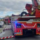 Fotka nr 2 z 4