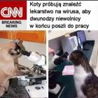 zdjęcie nr 23