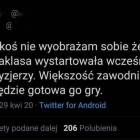zdjęcie nr 14