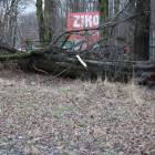 Fotka nr 0 z 10