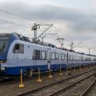 Fotka nr 5 z 6