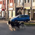 Fotka nr 1 z 2