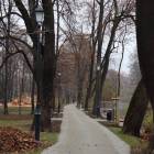 zdjęcie nr 48