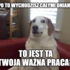 zdjęcie nr 111