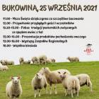 Fotka nr 0 z 1