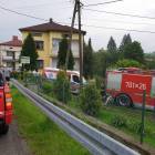 zdjęcie nr 8