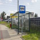 zdjęcie nr 8
