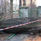 Fotka nr 2 z 10