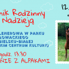 Fotka nr 5 z 12