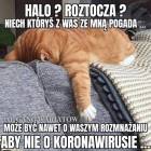 zdjęcie nr 97