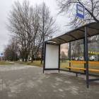 Fotka nr 5 z 6