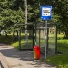 Fotka nr 5 z 8