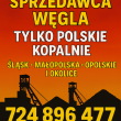 zdjęcie nr 