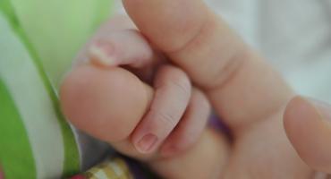 W województwie śląskim rusza program leczenia niepłodności metodą in-vitro