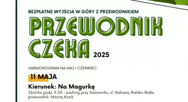 Przewodnik czeka - wyjście w góry z przewodnikiem