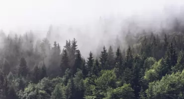 Rześki poranek w regionie. Temperatura lokalnie spadła poniżej 3°C
