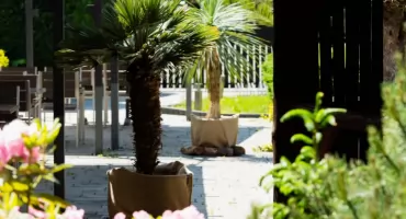 Co podać: Lody czy Lemoniadę? Letnie orzeźwienie w Karczmie Rogata