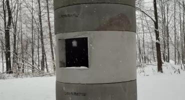 Betonowy schron zamiast starolasu? Stowarzyszenie Olszówka alarmuje w sprawie planowanych wycinek