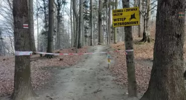 Trasa rowerowa Twister zamknięta. Na Enduro Trails trwają prace leśne